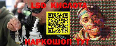 ГАЛЛЮЦИНОГЕННЫЕ ГРИБЫ Сланцы