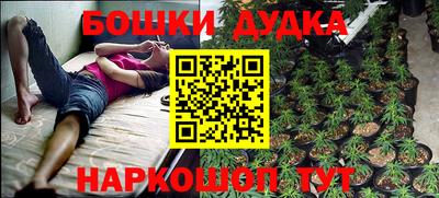 ГАЛЛЮЦИНОГЕННЫЕ ГРИБЫ Сланцы
