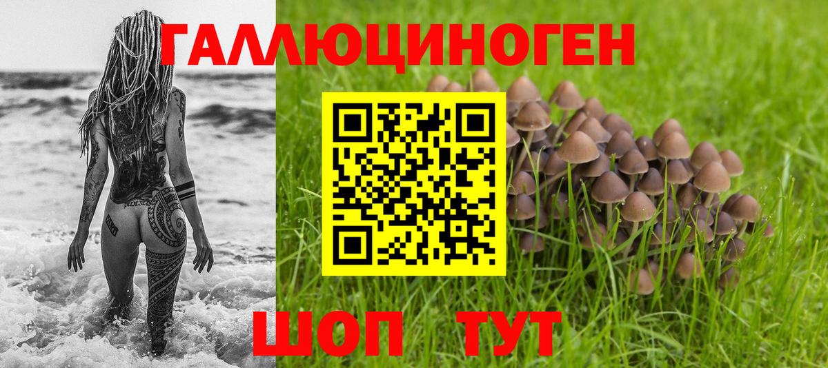 Галлюциногенные грибы MAGIC MUSHROOMS  Вход с VPN  Георгиевск 